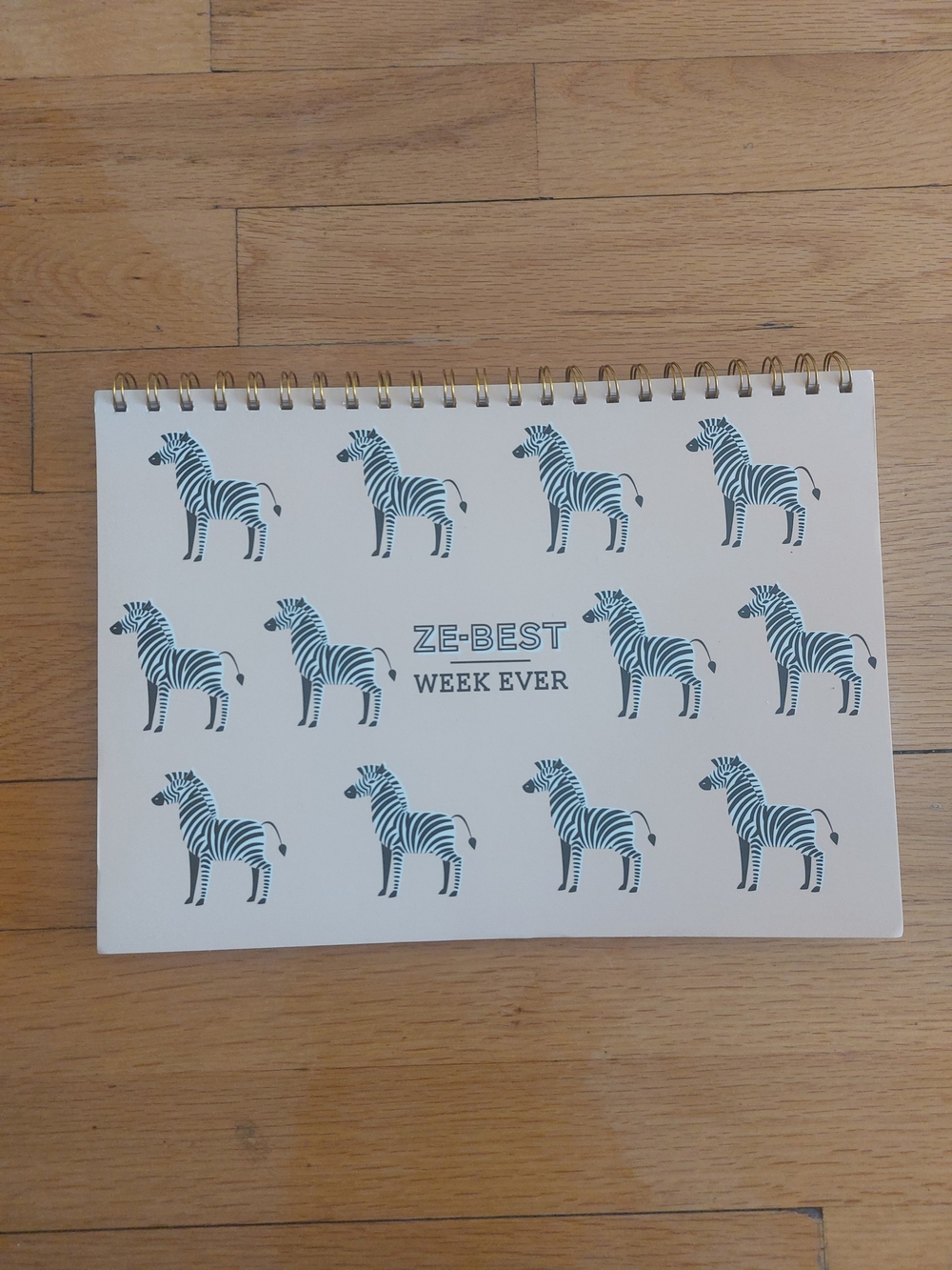 Week Ever Spiral Planner - Teal Zebra Design